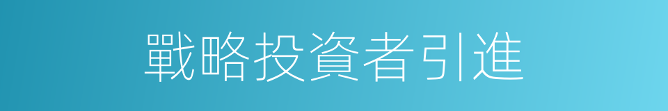 戰略投資者引進的同義詞