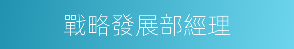 戰略發展部經理的同義詞