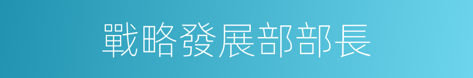 戰略發展部部長的同義詞