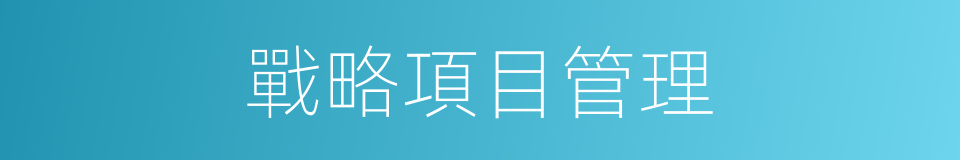 戰略項目管理的同義詞