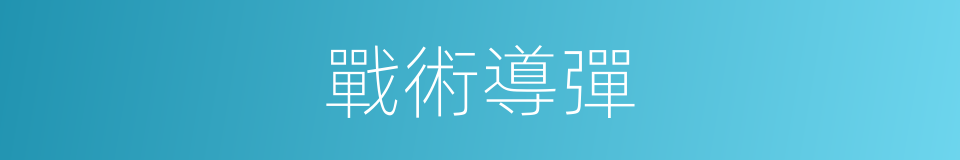 戰術導彈的意思