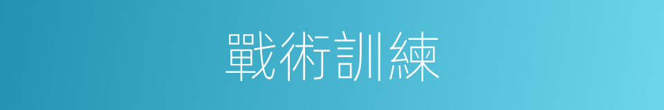 戰術訓練的意思
