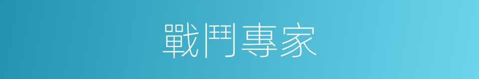 戰鬥專家的同義詞