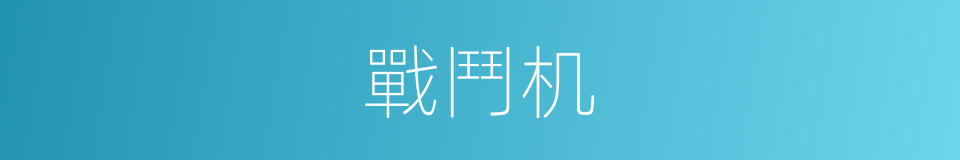 戰鬥机的意思