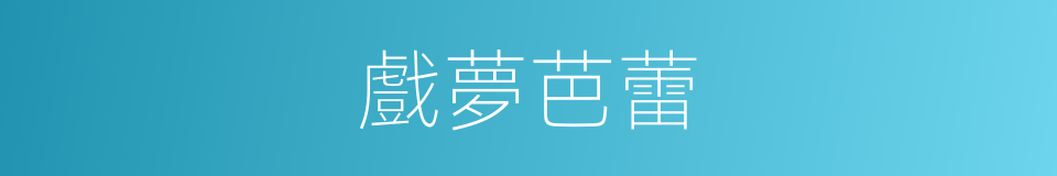 戲夢芭蕾的同義詞