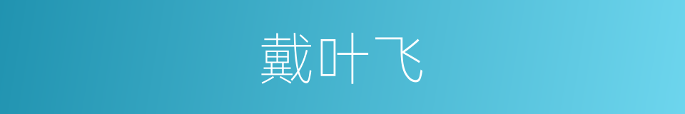 戴叶飞的同义词
