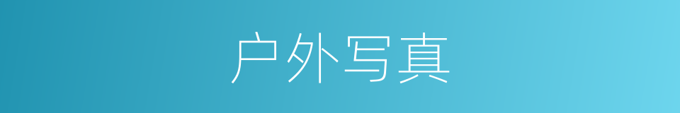 户外写真的同义词