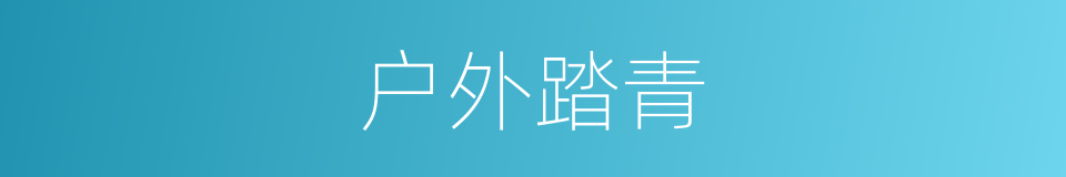 户外踏青的同义词