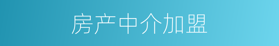 房产中介加盟的同义词