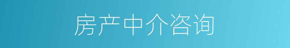 房产中介咨询的同义词