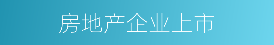 房地产企业上市的同义词