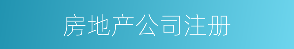 房地产公司注册的同义词