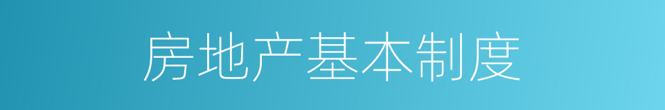 房地产基本制度的同义词