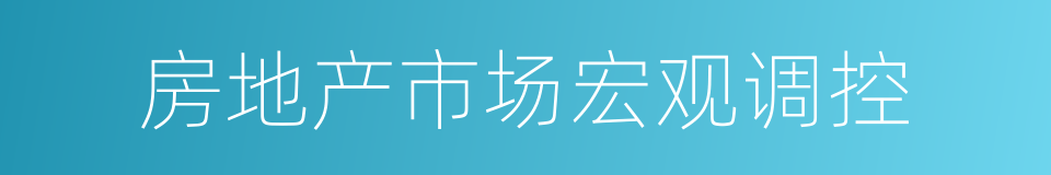 房地产市场宏观调控的同义词