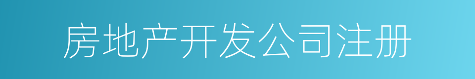 房地产开发公司注册的同义词