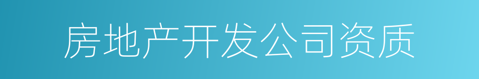 房地产开发公司资质的同义词