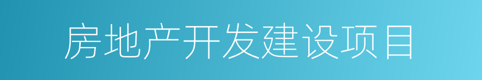 房地产开发建设项目的同义词