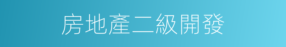 房地產二級開發的同義詞