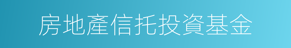 房地產信托投資基金的同義詞