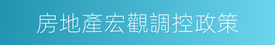 房地產宏觀調控政策的同義詞