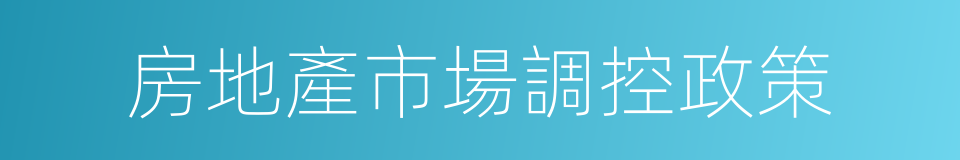 房地產市場調控政策的同義詞