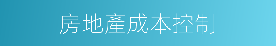 房地產成本控制的同義詞