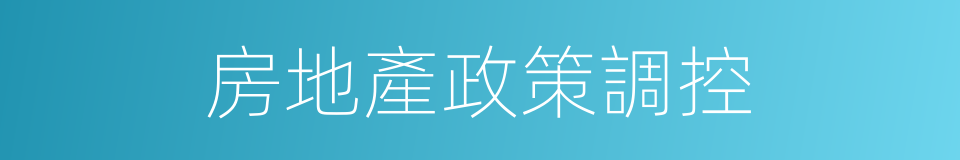 房地產政策調控的同義詞