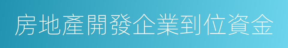 房地產開發企業到位資金的同義詞