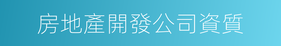 房地產開發公司資質的同義詞