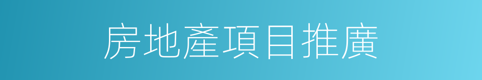 房地產項目推廣的同義詞