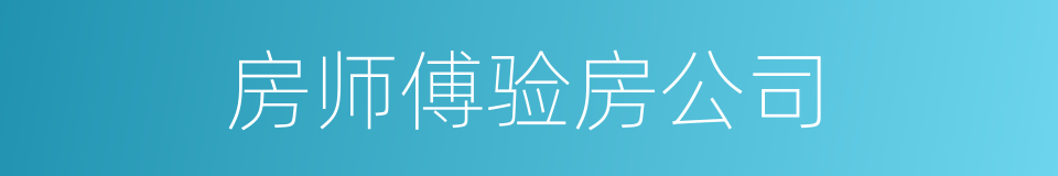 房师傅验房公司的同义词