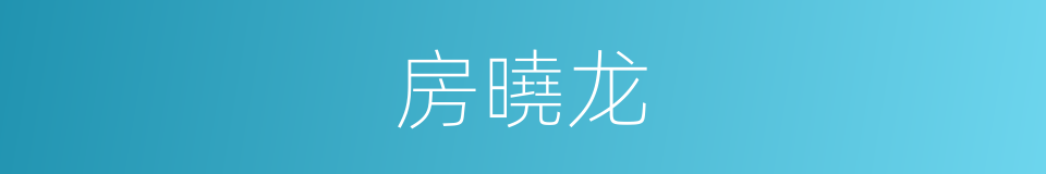 房曉龙的同義詞