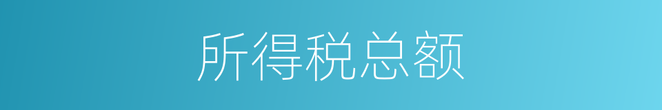 所得税总额的同义词