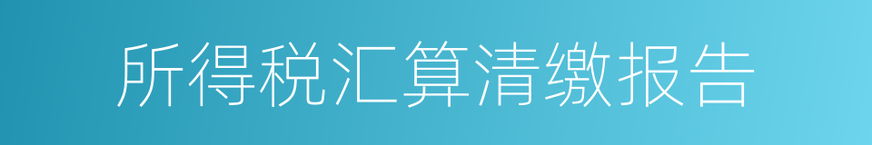 所得税汇算清缴报告的同义词