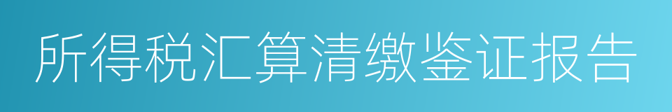 所得税汇算清缴鉴证报告的同义词