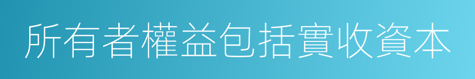 所有者權益包括實收資本的同義詞