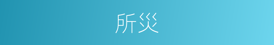 所災的同義詞