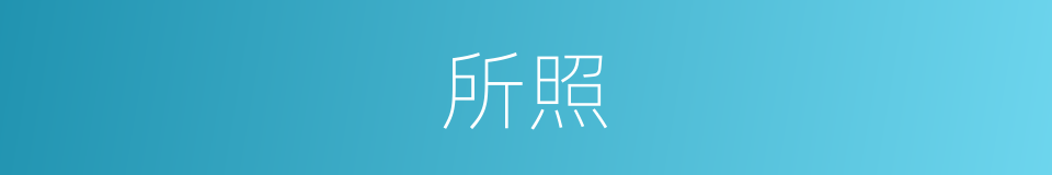 所照的同义词