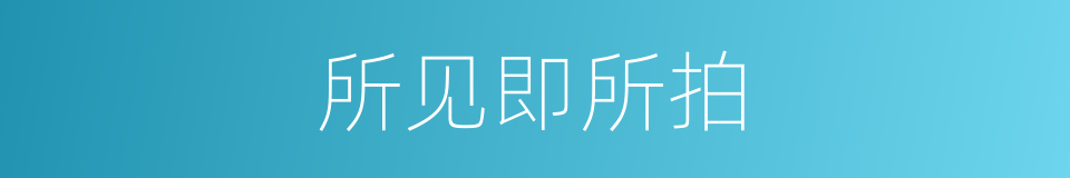 所见即所拍的同义词