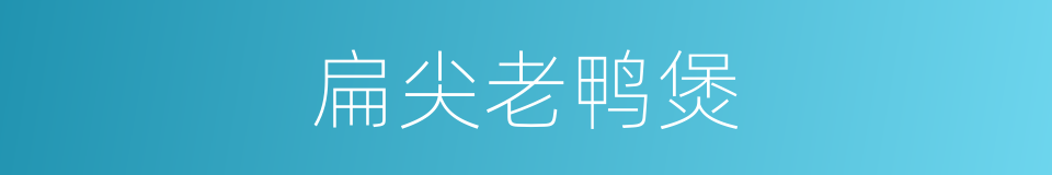 扁尖老鸭煲的同义词