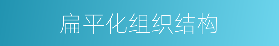 扁平化组织结构的同义词