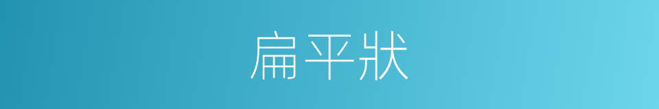 扁平狀的同義詞