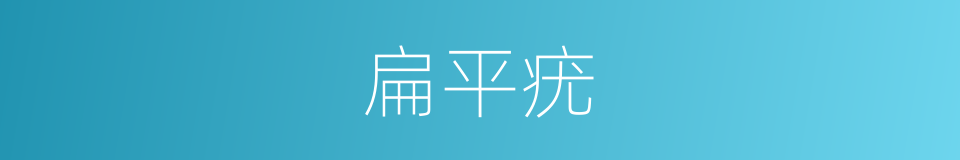 扁平疣的同义词