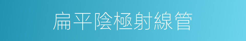 扁平陰極射線管的同義詞
