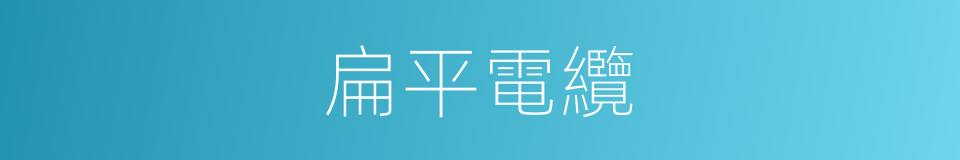 扁平電纜的同義詞