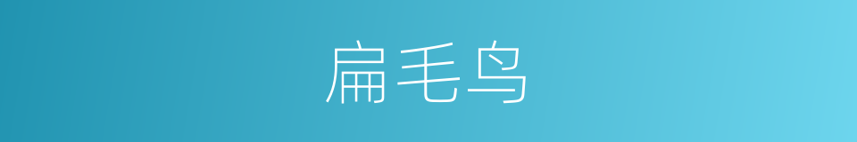 扁毛鸟的同义词