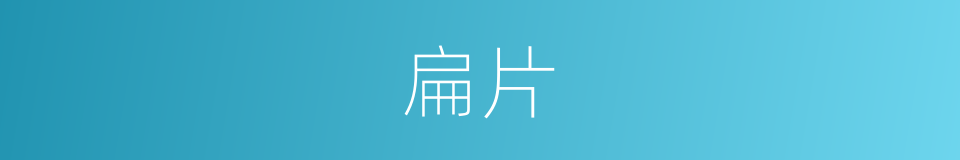 扁片的意思