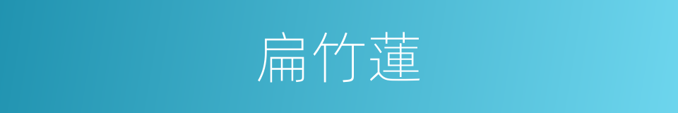 扁竹蓮的同義詞