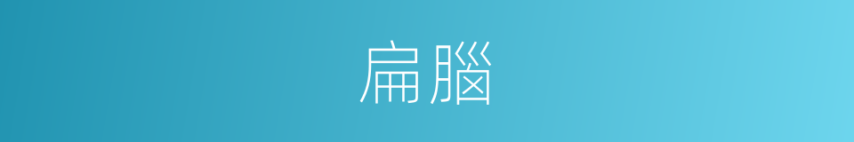 扁腦的同義詞