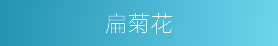 扁菊花的同义词
